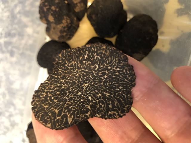 Truffe noire fraîche — cuisine Le&nbsp;Tri‑Marrants